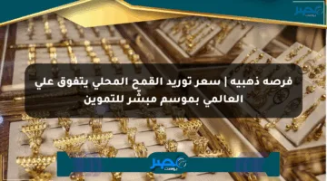 فرصة ذهبية | سعر توريد القمح المحلي يتفوق على العالمي بموسم مبشّر للتموين